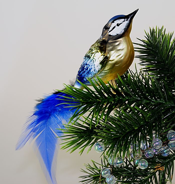 Waldvogel, Meise multicolor mit echten Federn