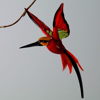 Bienenfresser , Vogel h�ngend, rot-gr�n-schwarz