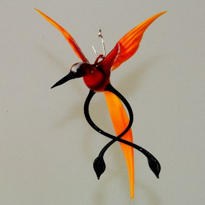 Wunders�lfe, Vogel h�ngend, orange, rot, schwarz
