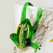 Glasfrosch, Topfanh&auml;nger