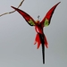 Bienenfresser , Vogel h&auml;ngend, rot-gr&uuml;n-schwarz