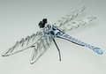 Libelle stehend, Fadenglas, kristall - blau