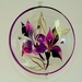 Glaslinse, mit LM &Oslash; 60 mm und Tropfen, Orchidee flieder