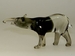 Tapir