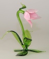 Glockenblume rose, klein