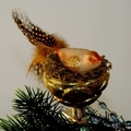 Vogel mit Vogelnest auf Clip
