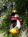 Pinguin mini, mit roten Schal