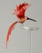 Orchideenstab 'Kolibri', rose-rubinrot , -Neu-