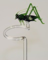 Orchideenstab auf kleiner Grille