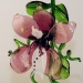 Orchidee zum H&auml;ngen, rot-wei&szlig;  -NEU-
