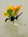 Blumenstab Schmetterling 2 Fl&uuml;gel gr&uuml;n-gelb