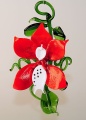 Orchidee zum H&auml;ngen, rot-gelb  -NEU-