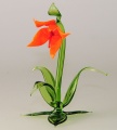 Glockenblume orange, klein
