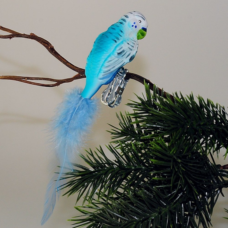 Wellensittich Hellblau t rkis Naturfedern Glas Geschenke