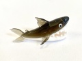 Haifisch
