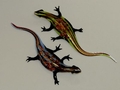 Salamander,Echsen