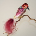 Kookaburra, pink-türkis