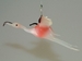 Flamingo fliegend, altrosa