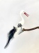 Storch mit geöffnetem Schnabel