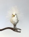 Snow Birdie auf Clip