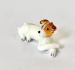 Jack Russel