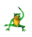 Yoga Frosch 2