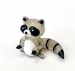 Waschbär groß