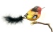 Dompfaff