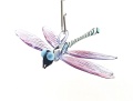 Libelle h&auml;ngend, Fadenglas hellblau, Fl&uuml;gel irisierend