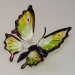 Schmetterling stehend, grün mit Pfauenaugen