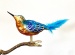 Eisvogel