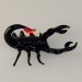 Skorpion, klein schwarz