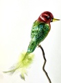 Andenbartvogel