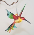 Kolibris hängend