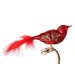 großer Vogel rot