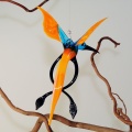 Wundersülfe, Vogel hängend, aquablau-orange