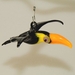 Tukan zum hängen klein, mit gelben Schnabel