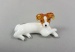 Jack Russel