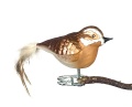 Braunkehlchen, Naturfeder
