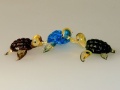Wasserschildkröten