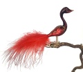 Feuervogel