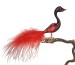 Feuervogel