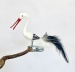 Storch mit geöffnetem Schnabel