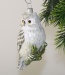 Schneeeule auf Tannenzweig