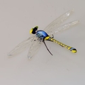 Libelle stehend, Fadenglas, kristall - gelb-blau