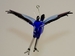Reiher fliegend zum hängen, blau-violett
