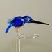 Orchideenstab Eisvogel blau