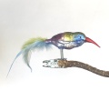 kleiner Kolibri mit Naturfeder