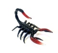 Skorpion schwarz/rot gro&szlig;