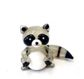 Waschb&auml;r gro&szlig;